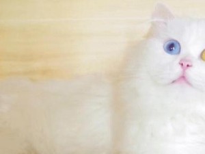 《元气动森玩家必备！学会做拿破仑配方》（以“元气动森拿破仑”为例，教你制作酥脆可口的甜点）